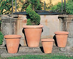 VASO ALTO