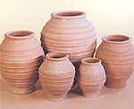 Koronio